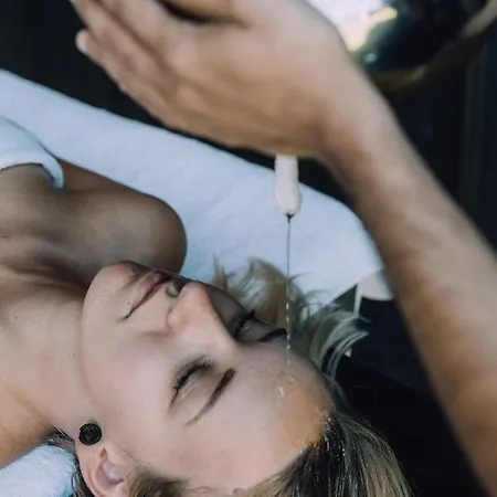 Naturhotel Chesa Valisa