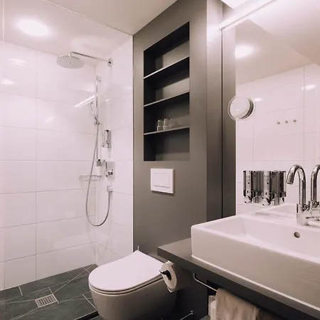 Naturhotel Chesa Valisa 4*