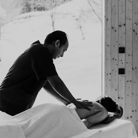 Naturhotel Chesa Valisa