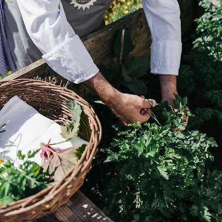 Naturhotel Chesa Valisa 4* Hirschegg (Vorarlberg)